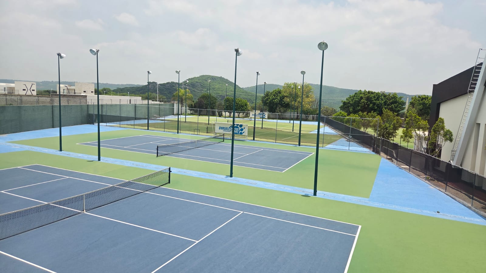 Tenis